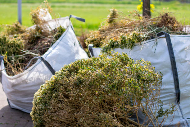 Best Commercial Cleanout Services  in Kidron, OH